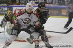 Photo hockey reportage Conti Cup : Les Dragons ont du cœur.