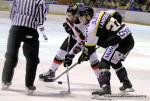 Photo hockey reportage Continental Cup J1 Match 2 : Rouen démarre bien