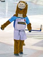 Photo hockey reportage D3 Carré Final : Anglet - Vanoise