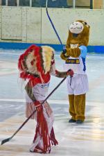 Photo hockey reportage D3 Carré Final : Anglet - Vanoise