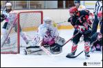 Photo hockey reportage Elite Féminine - Evry Viry vs St Ouen Neuilly