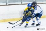 Photo hockey reportage Elite Féminine - Evry Viry vs Tours