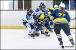 Photo hockey reportage Elite Féminine - Evry Viry vs Tours