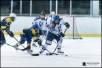 Photo hockey reportage Elite Féminine - Evry Viry vs Tours