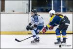 Photo hockey reportage Elite Féminine - Evry Viry vs Tours
