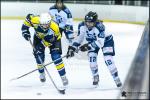 Photo hockey reportage Elite Féminine - Evry Viry vs Tours