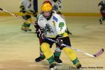Photo hockey reportage Fém. Excel. : Cergy - Viry