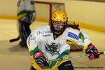 Photo hockey reportage Fém. Excel. : Cergy - Viry