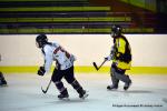 Photo hockey reportage Fem élite : L'Aigle vole tranquillement