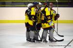 Photo hockey reportage Fem élite : L'Aigle vole tranquillement