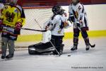 Photo hockey reportage Fem élite : L'Aigle vole tranquillement