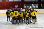 Photo hockey reportage Fem élite : L'Aigle vole tranquillement