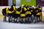 Photo hockey reportage Fem élite : Les Aigles emportés par les Rafales