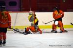 Photo hockey reportage Fem élite : Les Aigles emportés par les Rafales