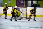 Photo hockey reportage Fem élite : Les Aigles emportés par les Rafales