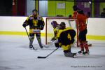 Photo hockey reportage Fem élite : Les Aigles emportés par les Rafales