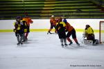 Photo hockey reportage Fem élite : Les Aigles emportés par les Rafales