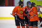 Photo hockey reportage Fem élite : Les Aigles emportés par les Rafales