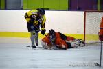 Photo hockey reportage Fem élite : Les Aigles emportés par les Rafales
