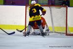 Photo hockey reportage Fem élite : Les Aigles emportés par les Rafales