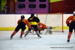 Photo hockey reportage Fem élite : Les Aigles emportés par les Rafales