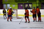 Photo hockey reportage Fem élite : Les Aigles emportés par les Rafales