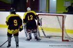 Photo hockey reportage Fem élite : Les Rebelles sur le fil !