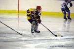 Photo hockey reportage Fem élite : Les Rebelles sur le fil !