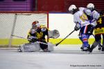 Photo hockey reportage Fem élite : Les Rebelles sur le fil !