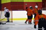 Photo hockey reportage Fem élite : Occitanie confirme