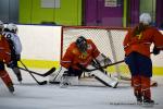 Photo hockey reportage Fem élite : Occitanie confirme