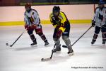 Photo hockey reportage Fem Elite : Besançon éteint les Brûleuses