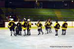 Photo hockey reportage Fem Elite : Besançon éteint les Brûleuses