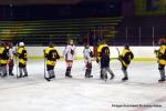 Photo hockey reportage Fem Elite : Besançon éteint les Brûleuses