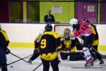 Photo hockey reportage Fem Elite : Bon départ des Bisontines