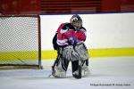 Photo hockey reportage Fem Elite : Bon départ des Bisontines