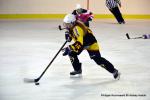 Photo hockey reportage Fem Elite : Bon départ des Bisontines