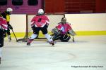 Photo hockey reportage Fem Elite : Bon départ des Bisontines