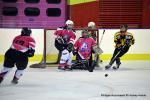 Photo hockey reportage Fem Elite : Bon départ des Bisontines