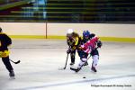 Photo hockey reportage Fem Elite : Bon départ des Bisontines