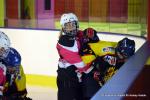 Photo hockey reportage Fem Elite : Bon départ des Bisontines