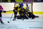 Photo hockey reportage Fem Elite : Bon départ des Bisontines