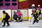 Photo hockey reportage Fem Elite : Bon départ des Bisontines