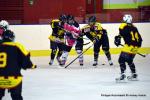 Photo hockey reportage Fem Elite : Bon départ des Bisontines