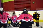 Photo hockey reportage Fem Elite : Bon départ des Bisontines