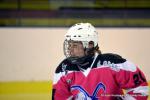 Photo hockey reportage Fem Elite : Bon départ des Bisontines