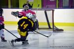 Photo hockey reportage Fem Elite : Bon départ des Bisontines