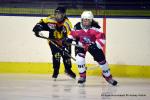 Photo hockey reportage Fem Elite : Bon départ des Bisontines
