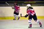Photo hockey reportage Fem Elite : Bon départ des Bisontines