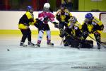 Photo hockey reportage Fem Elite : Bon départ des Bisontines
